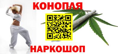 прущие грибы Бердск