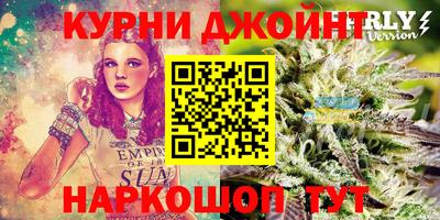 прущие грибы Бердск