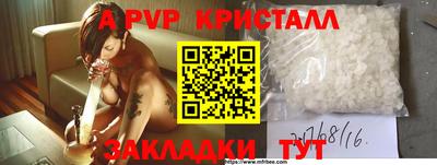 прущие грибы Бердск