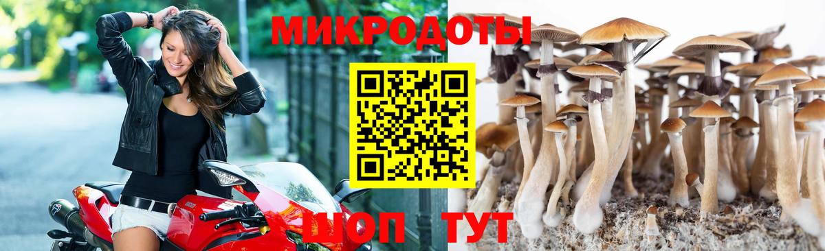 Псилоцибиновые грибы ЛСД Белореченск